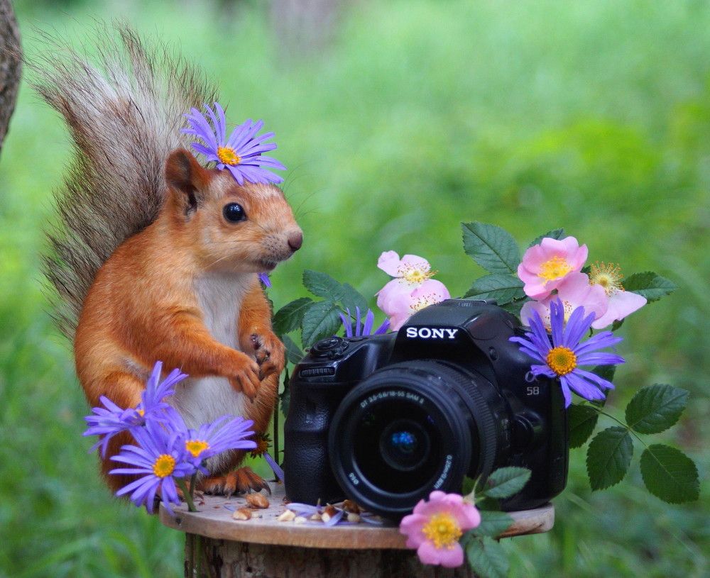 Photograph by Наталья Степаненко
