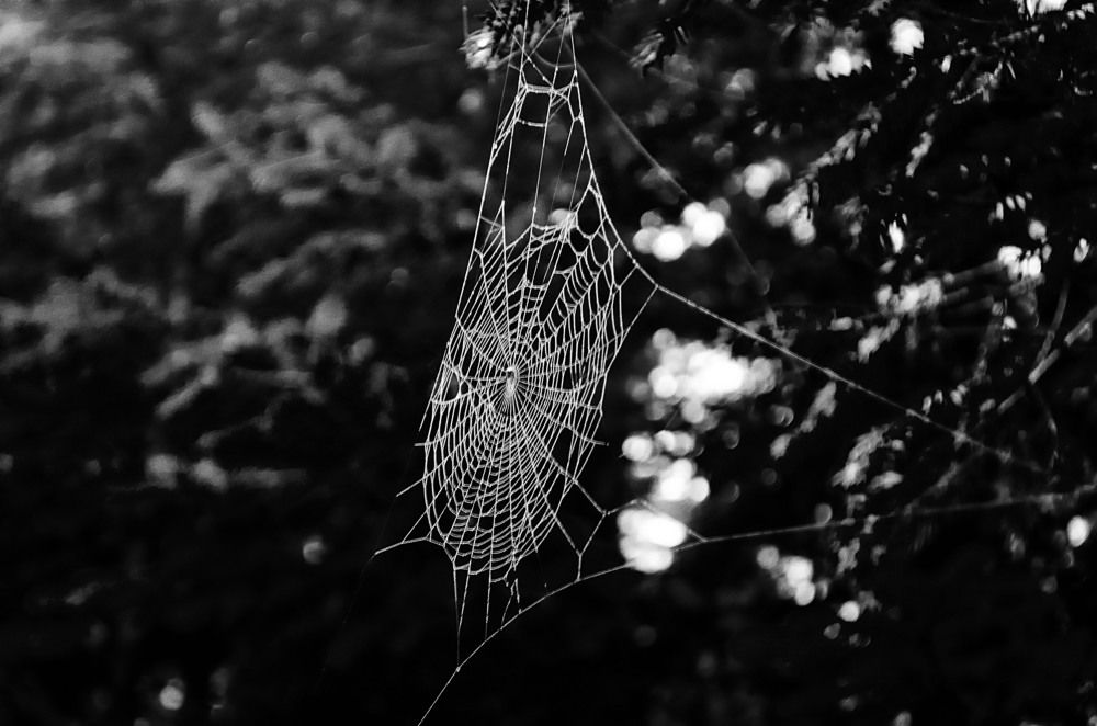 Photograph by Даниил Марков