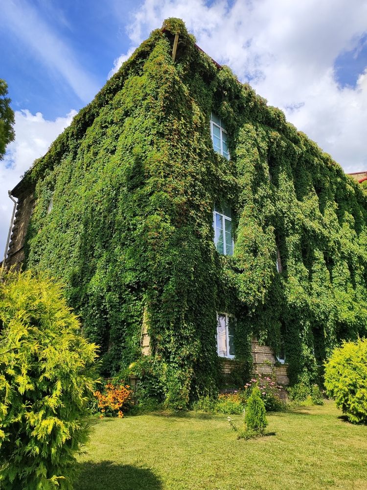 Photograph by Гюзель Даугуль