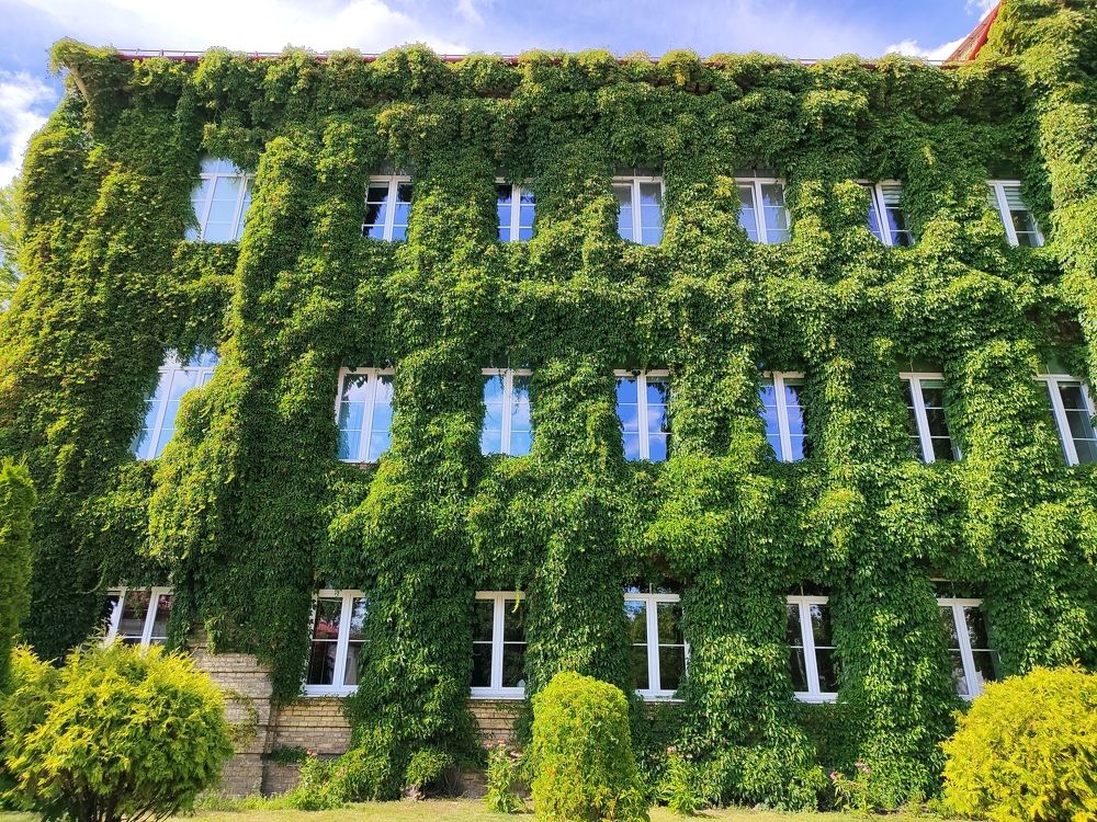 Photograph by Гюзель Даугуль