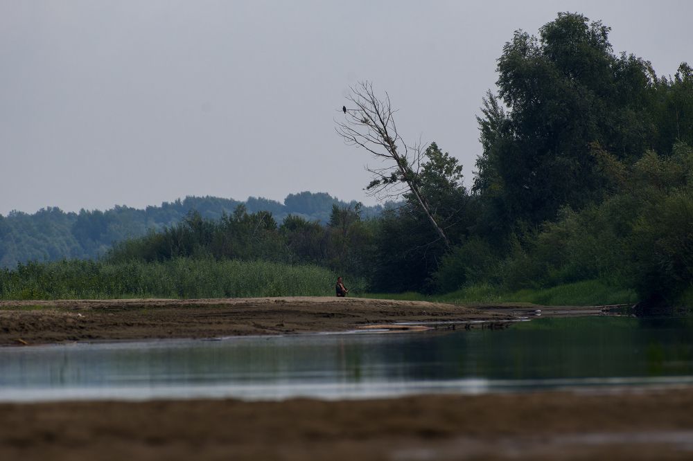 Photograph by Александр Перегудов