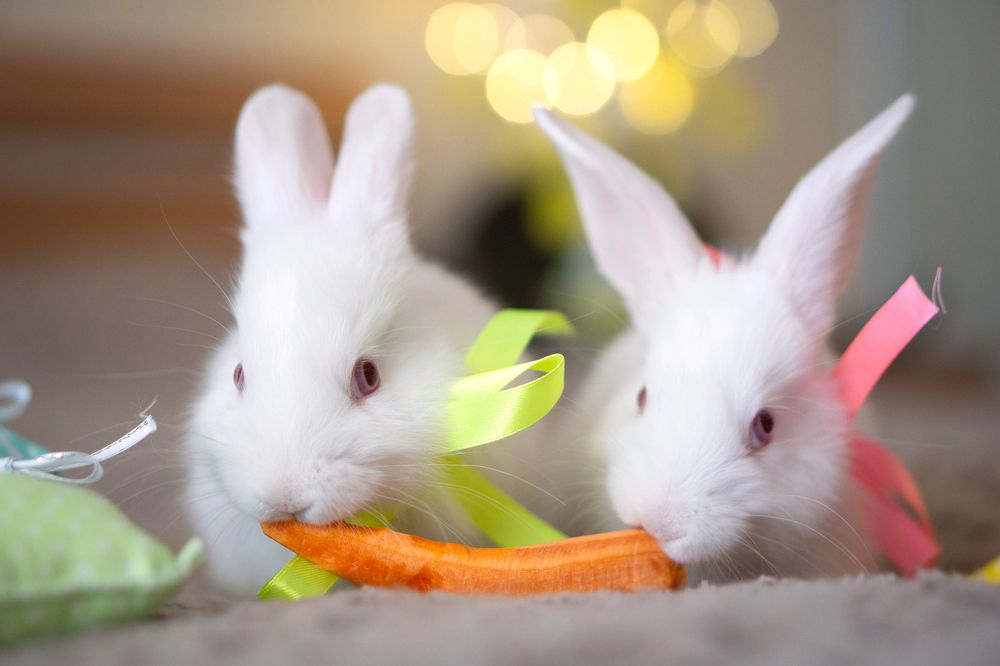 Photograph by Анна Гриневич