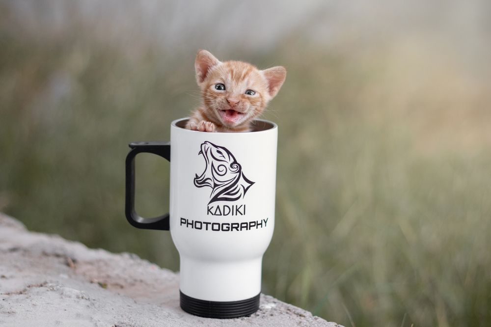 Photograph by AHMED ALKadeeki