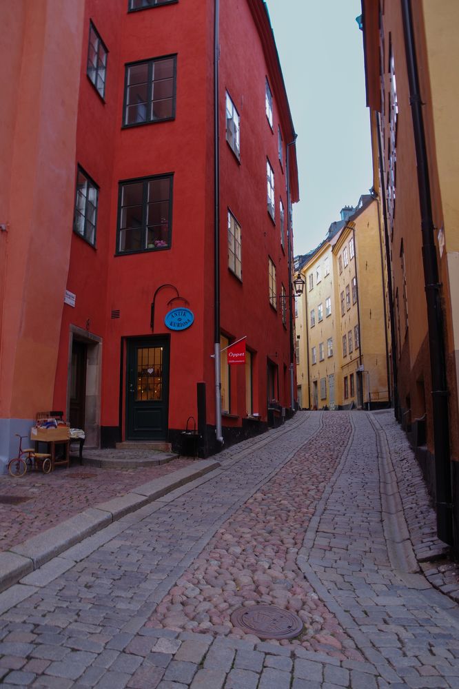 Photograph by Svetlana Jegorova