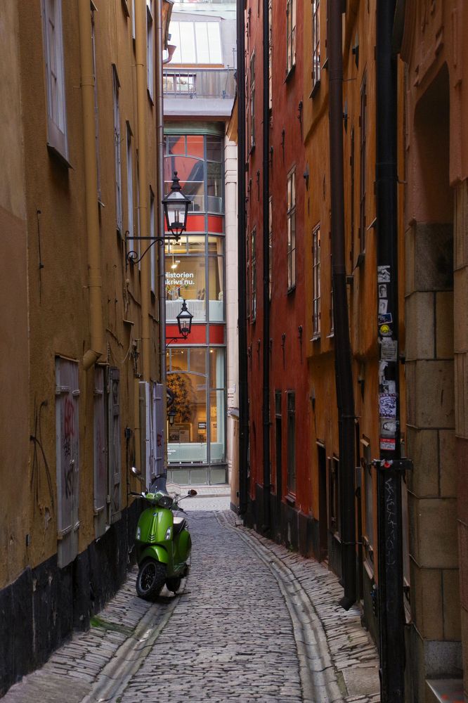 Photograph by Svetlana Jegorova