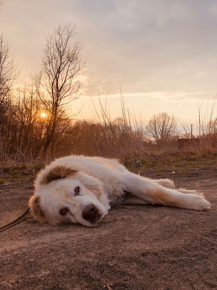 Photograph by Евгения М