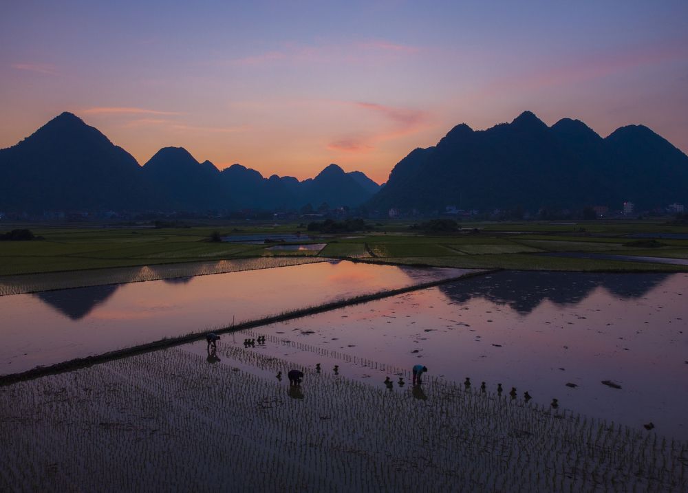 Photograph by Minh Chu Van