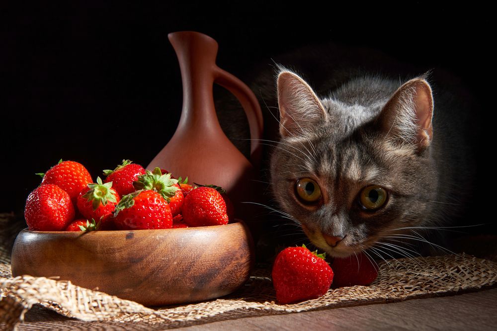 Photograph by Владимир Греков