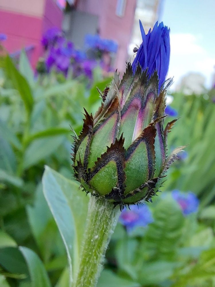 Photograph by Елена Ельчанинова