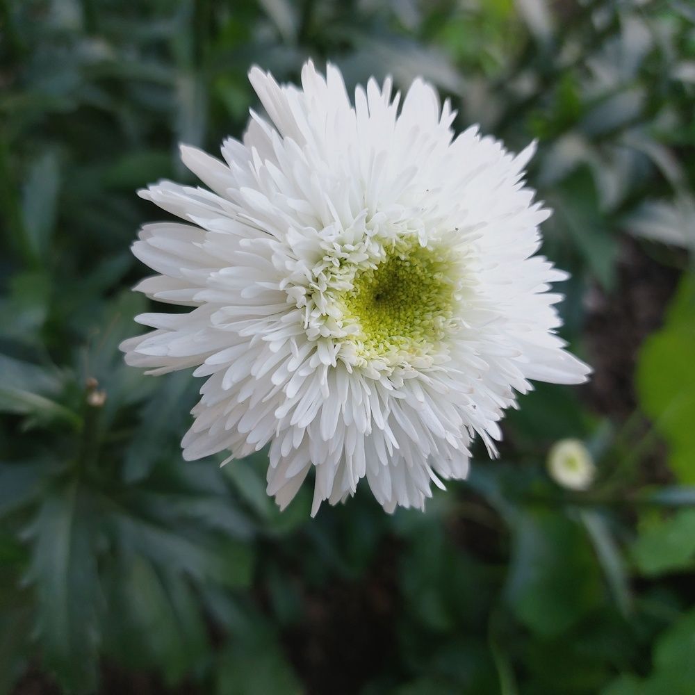 Photograph by Елена Ельчанинова