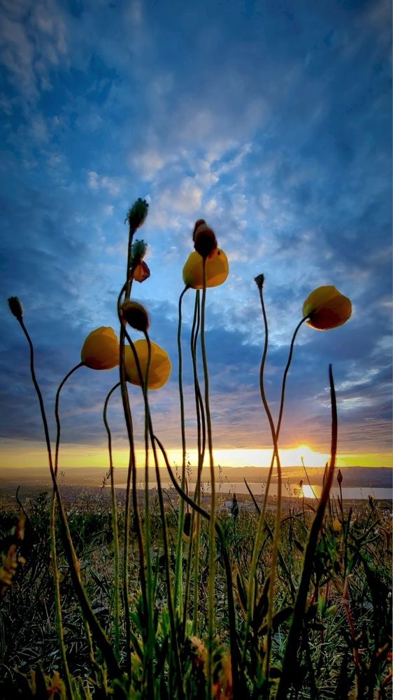 Photograph by Эдуард Горбов