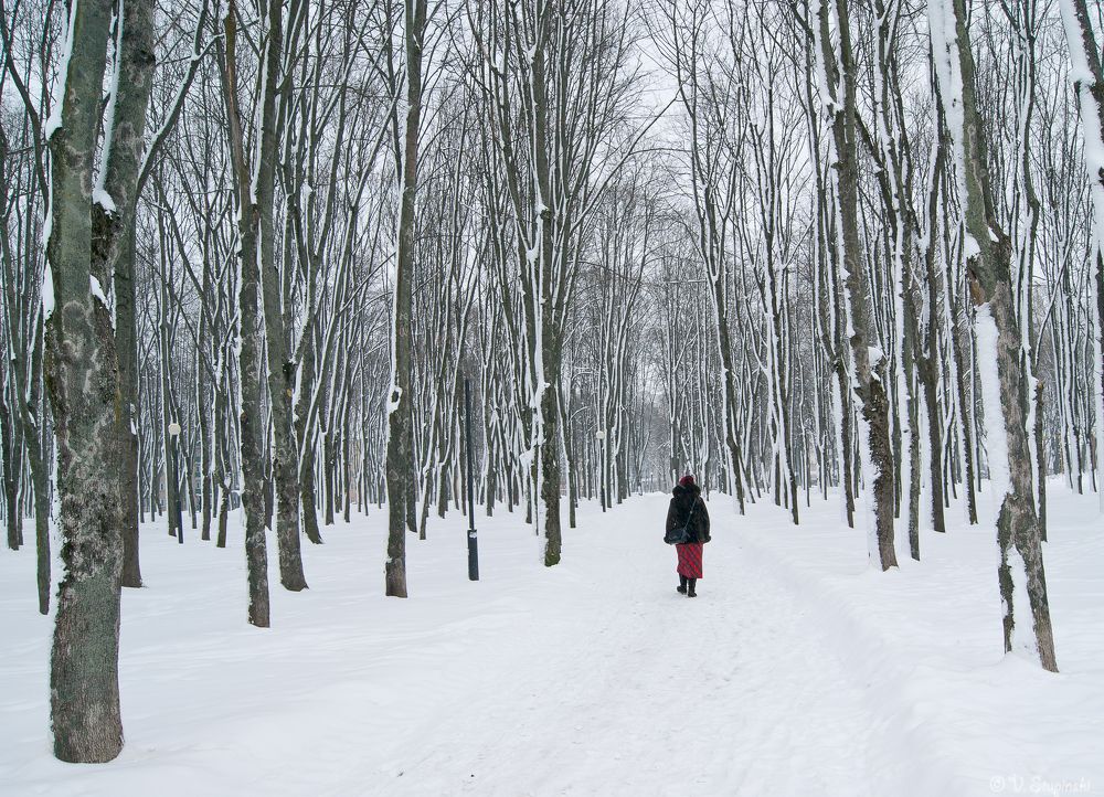 Фотография автора Владимир Ступинский