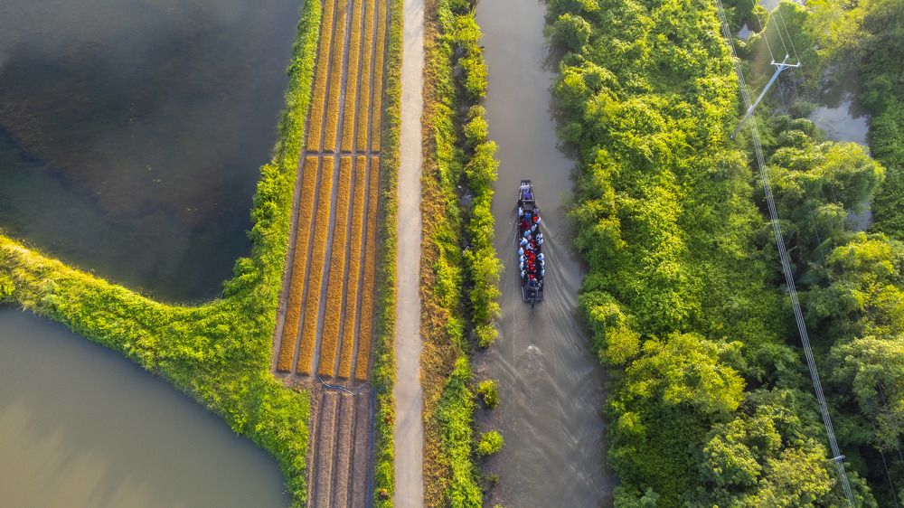 Photograph by Minh Châu