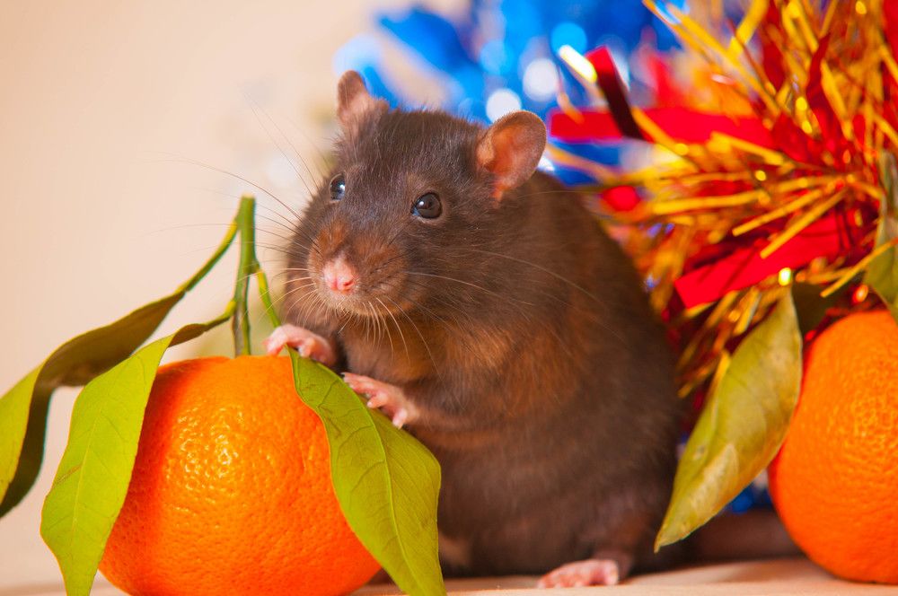 Photograph by Евгений Бесолов