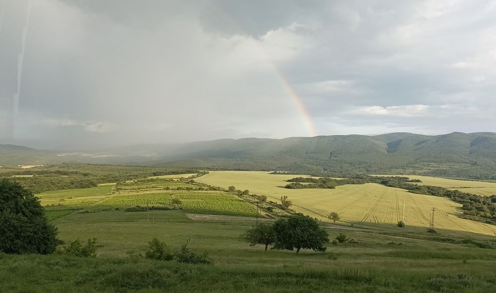 Photograph by Dimiter Popov