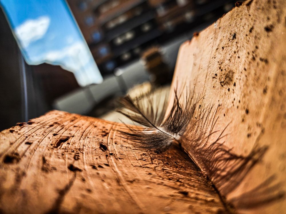 Photograph by Анна Панова