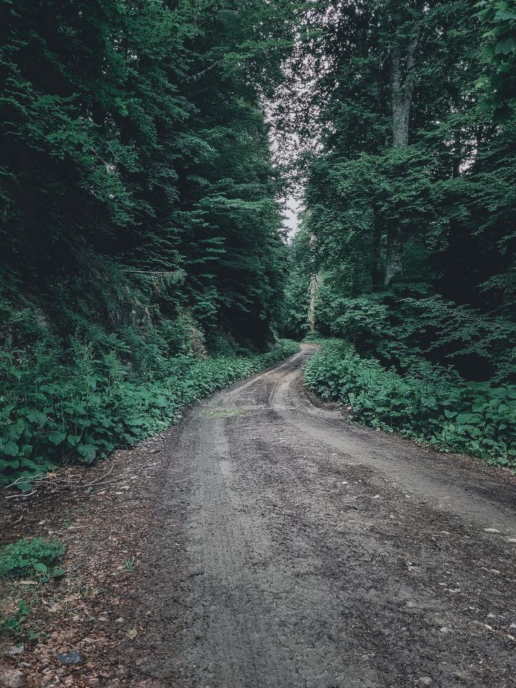 Photograph by Ирина Герлин