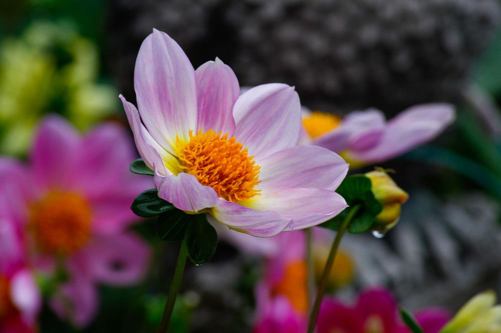 Photograph by Сергей Парамонов