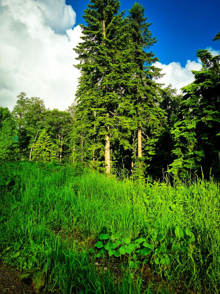 Photograph by Ирина Герлин