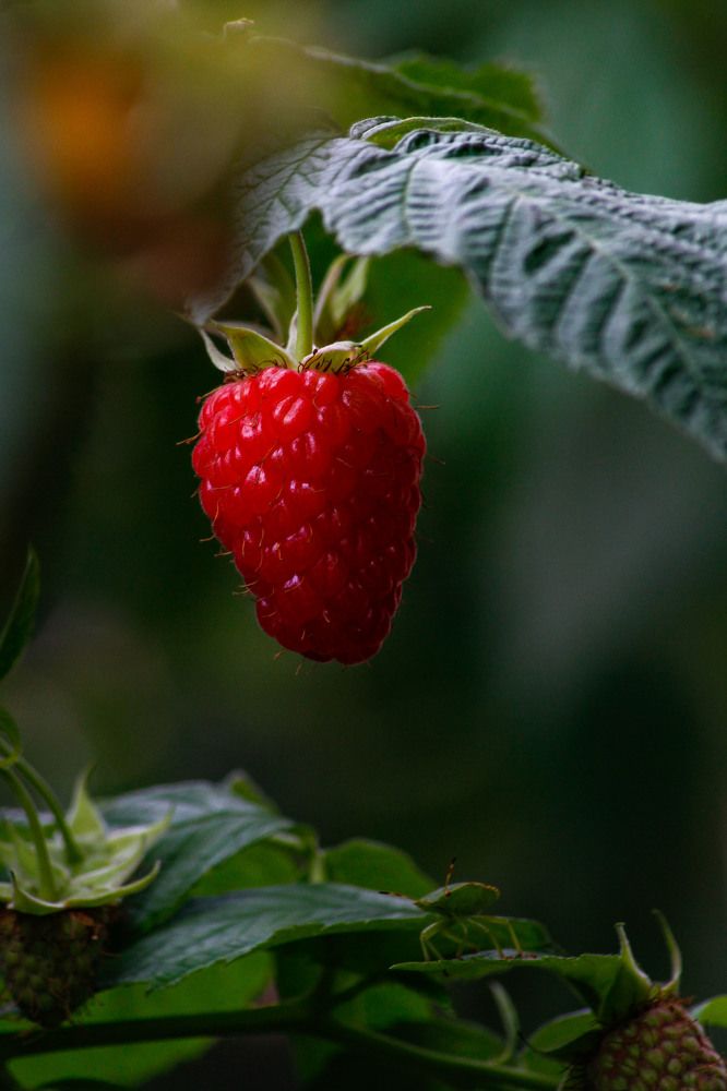 Photograph by Сергей Парамонов