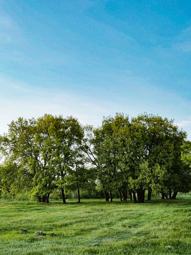 Photograph by Ирина Герлин