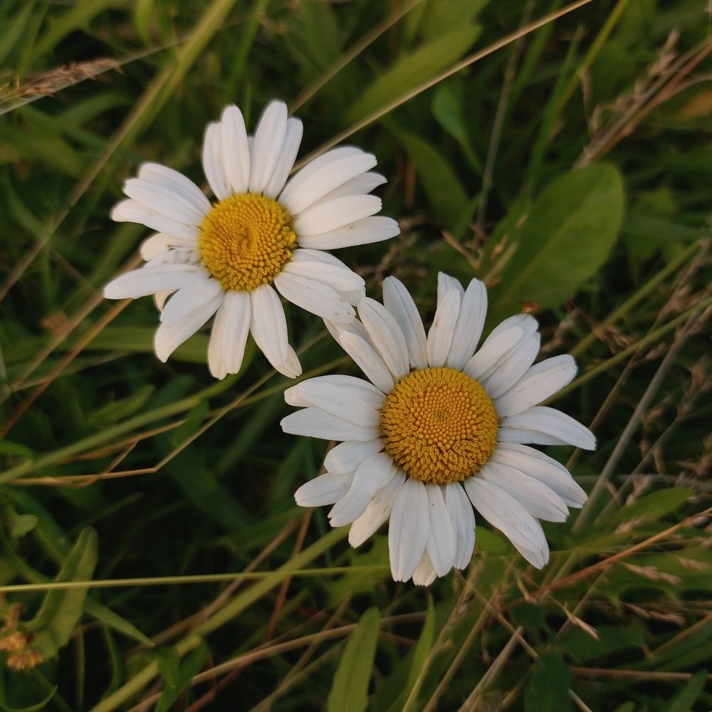 Photograph by Елена Ельчанинова