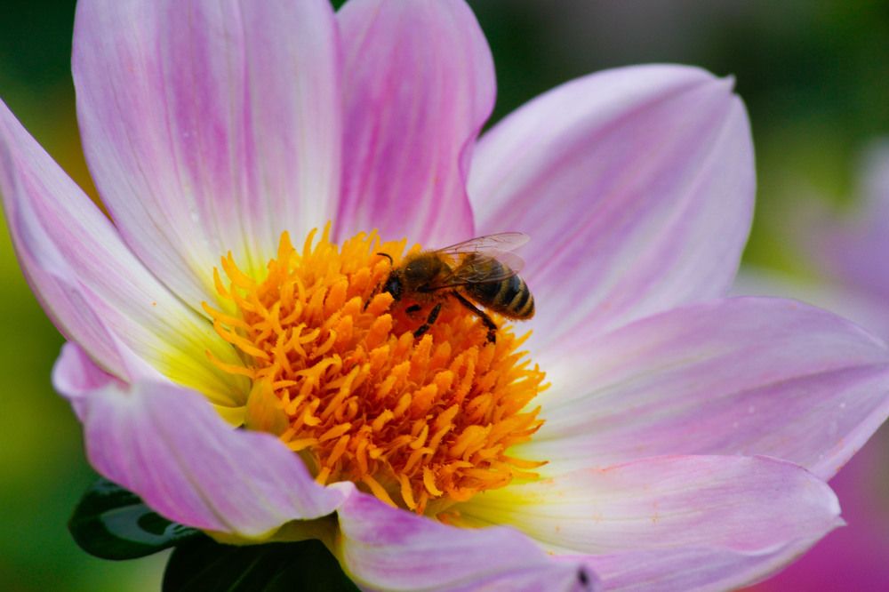 Photograph by Сергей Парамонов