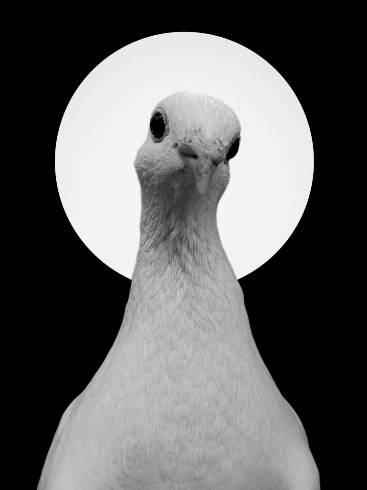 Photograph by Андрей Васильев