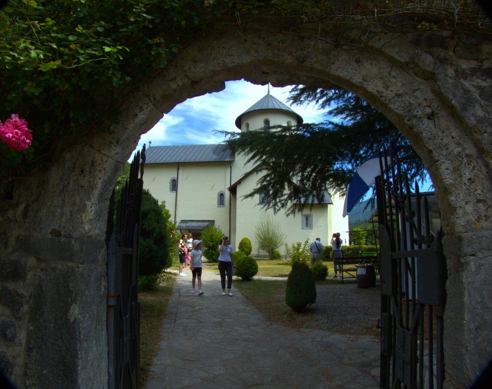 Фотография автора Елена Соловьева