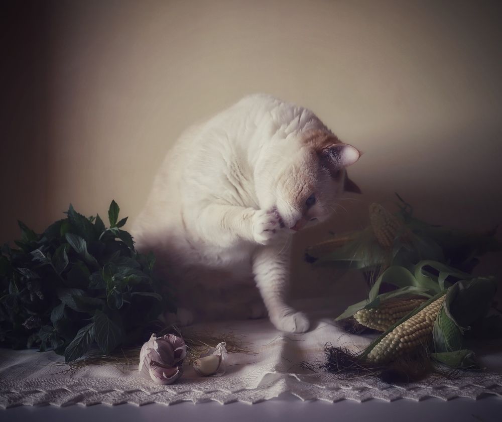 Photograph by Кира Бахвалова