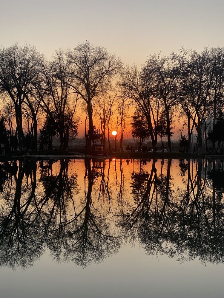 Photograph by Юлия Голубкова