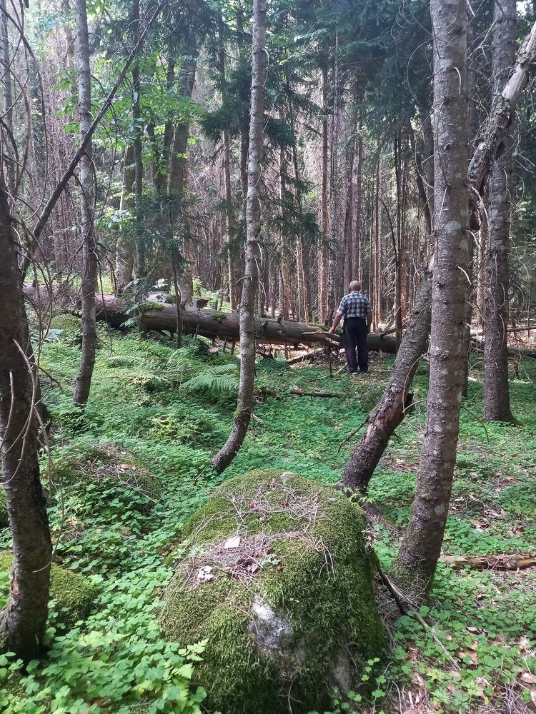 Photograph by Наталья Покрепина