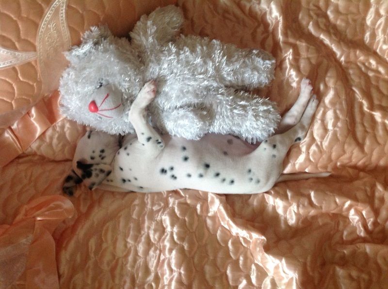 Екатерина, Russia