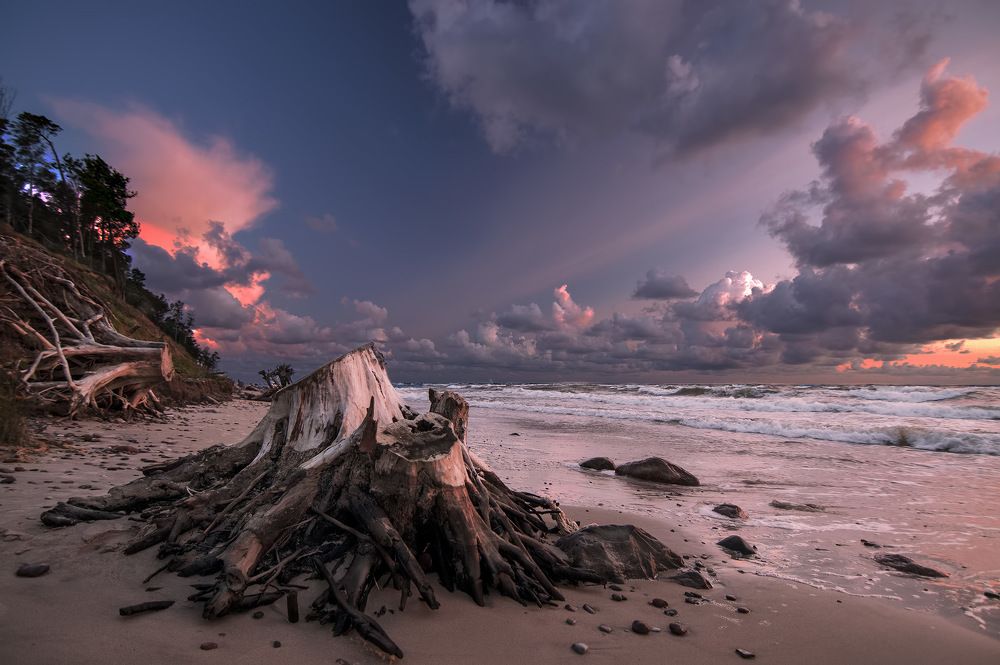 Celestial Symphony Summer