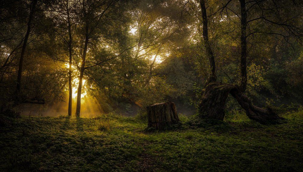 У ведьминой горы