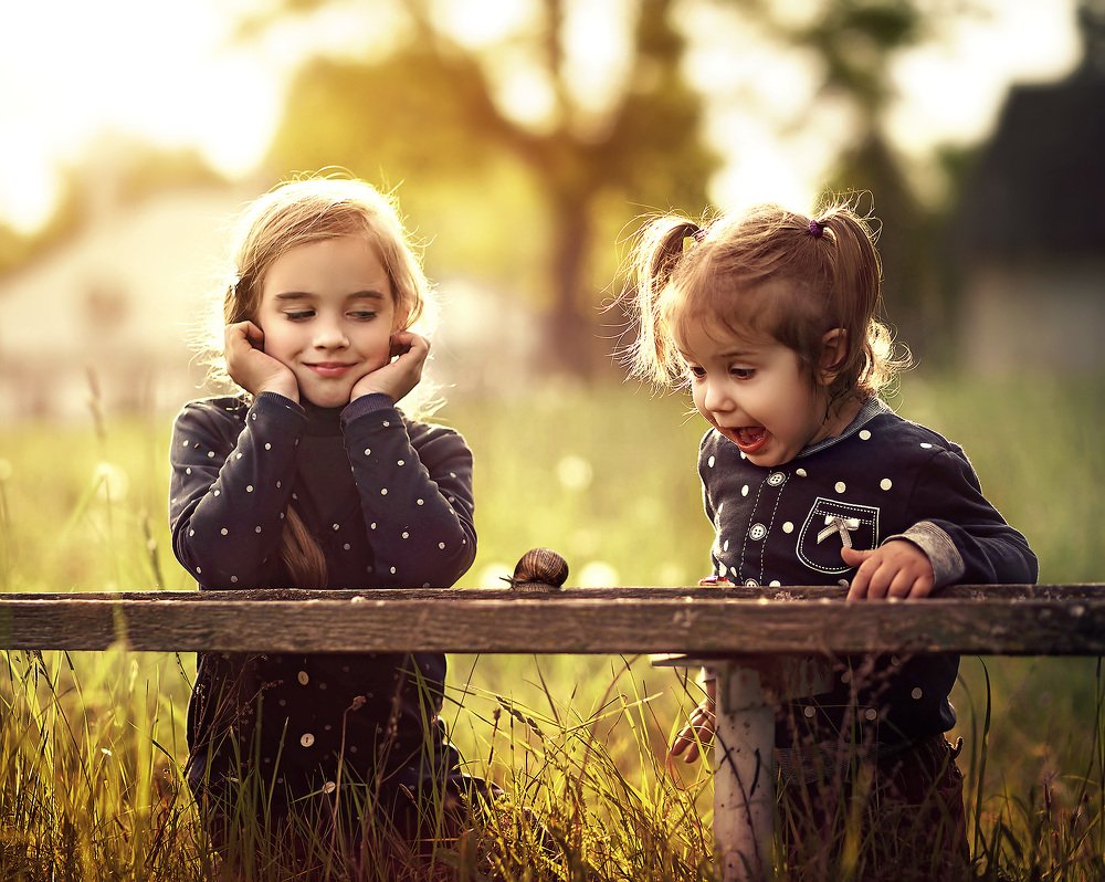 Про улитку...