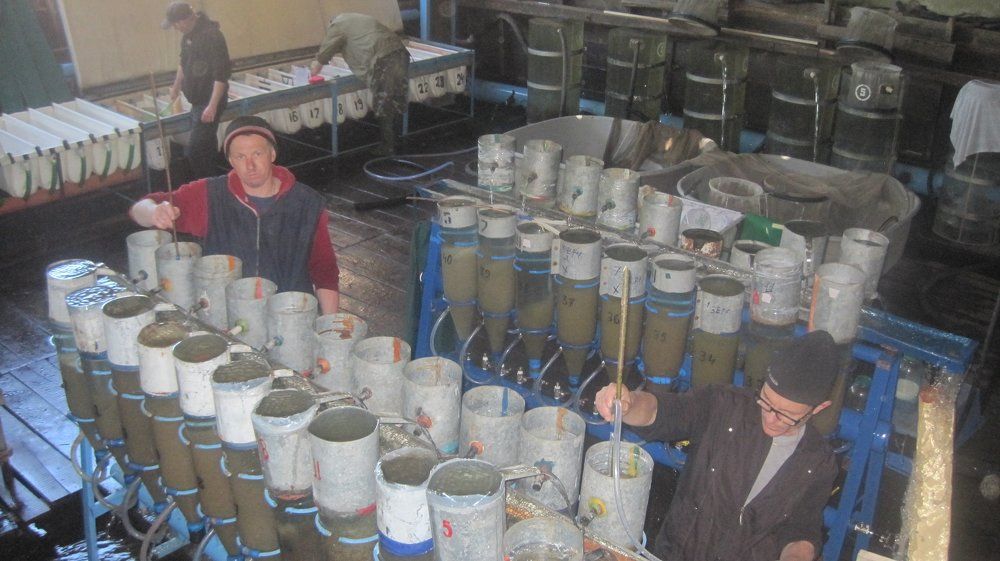 инкубация карповых та растительноядных рыб
