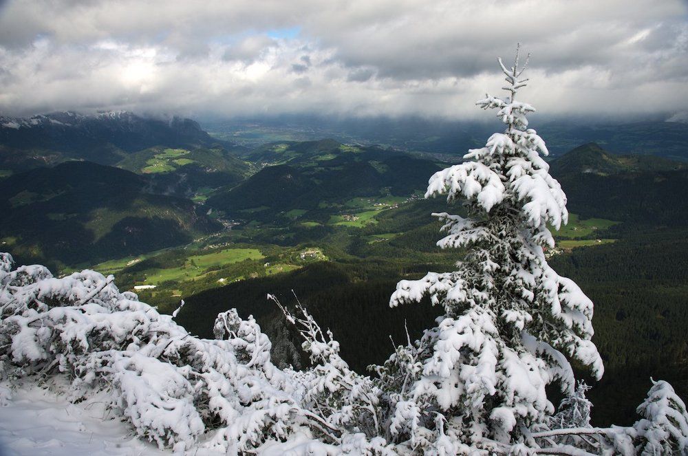 А лето внизу...