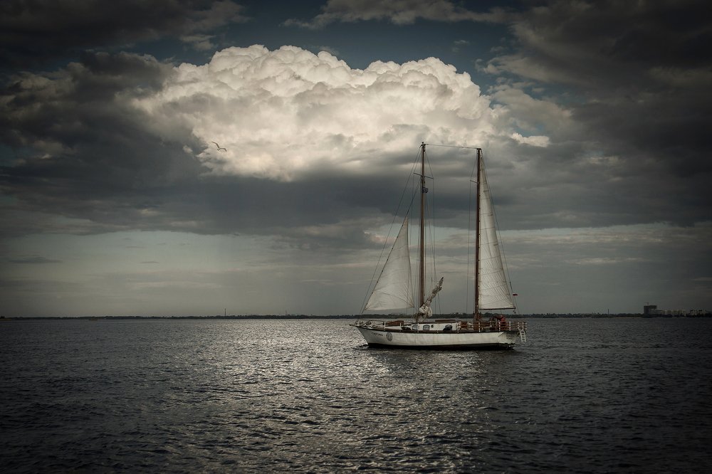 На Волжских просторах