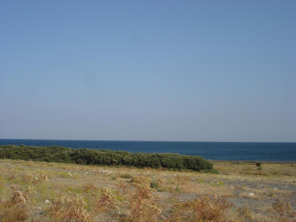 Photograph by Нино Микоянц