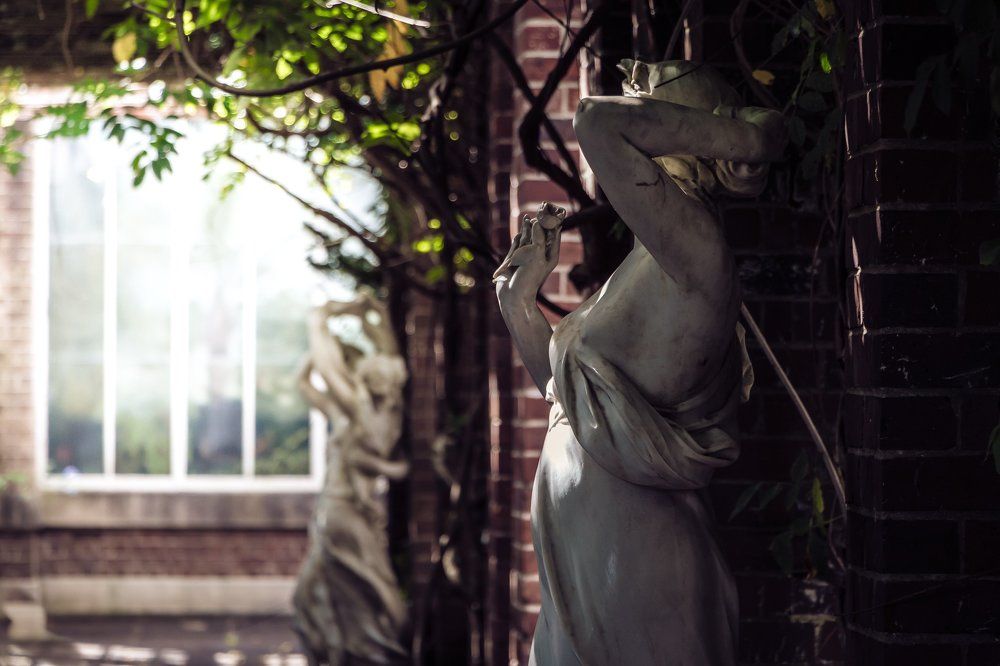 Photograph by Марина