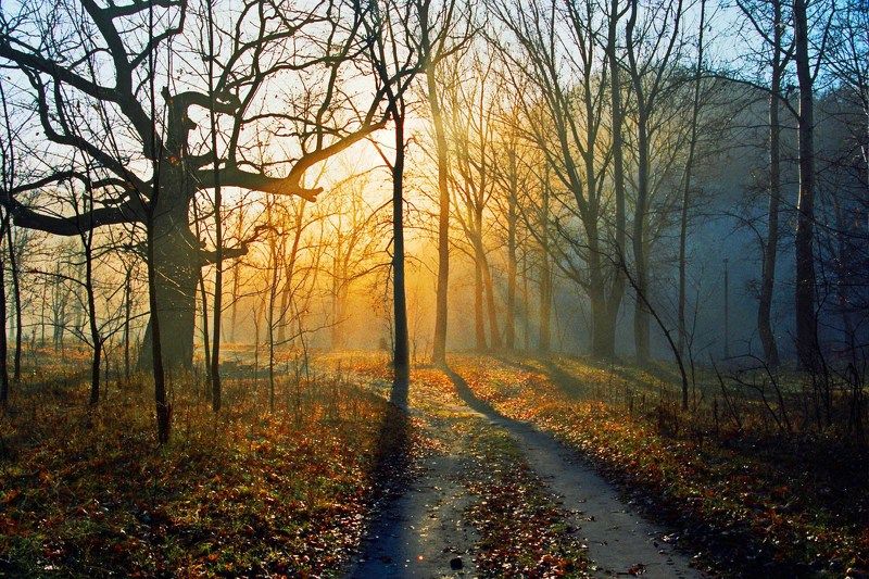 Полтавский Михаил Георгиевич, Russia