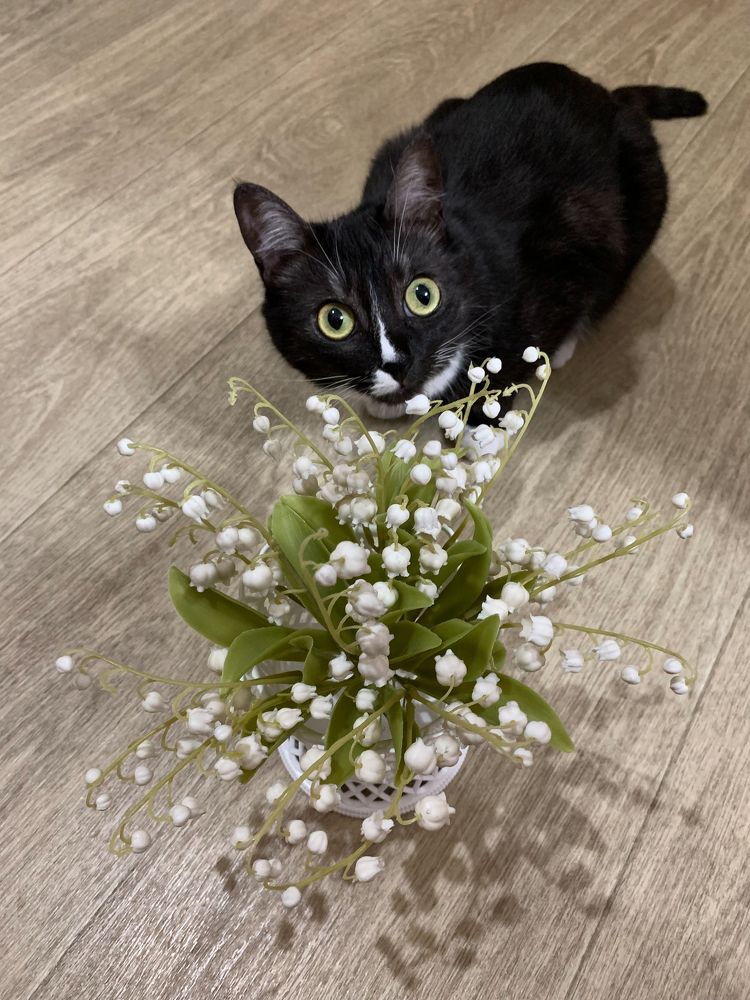 Photograph by Елена Макуха