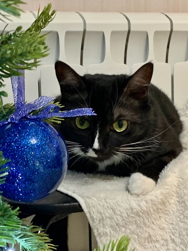 Photograph by Елена Макуха