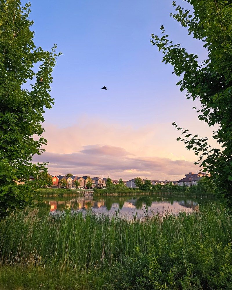 Photograph by Hannah Surji