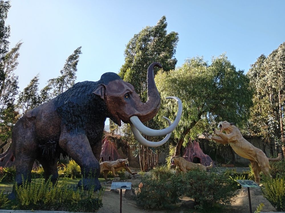 Photograph by Angela Condori