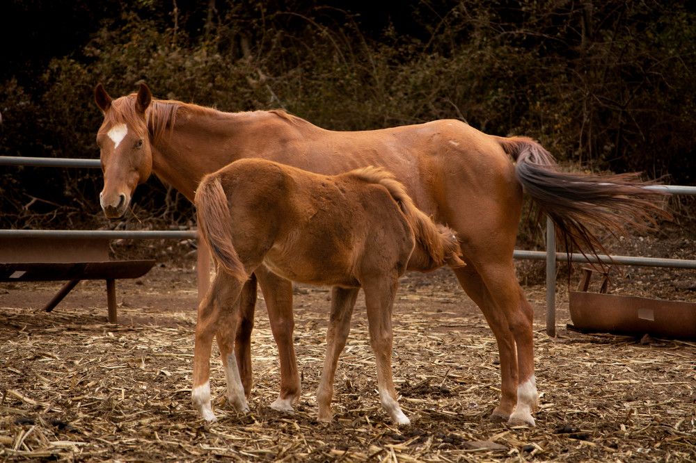 Photograph by esti lahat