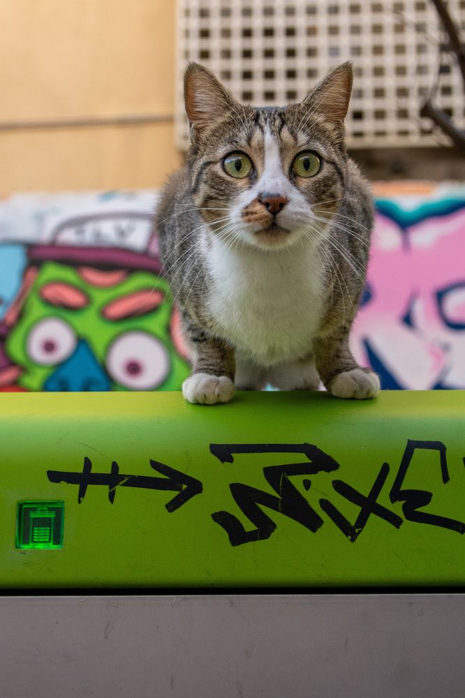 Photograph by esti lahat