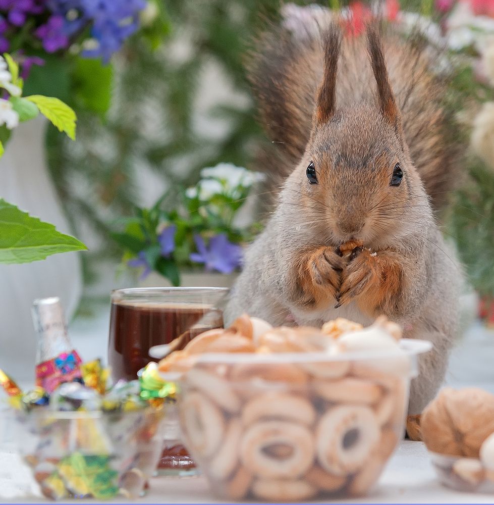 Photograph by Ольга Дядченко