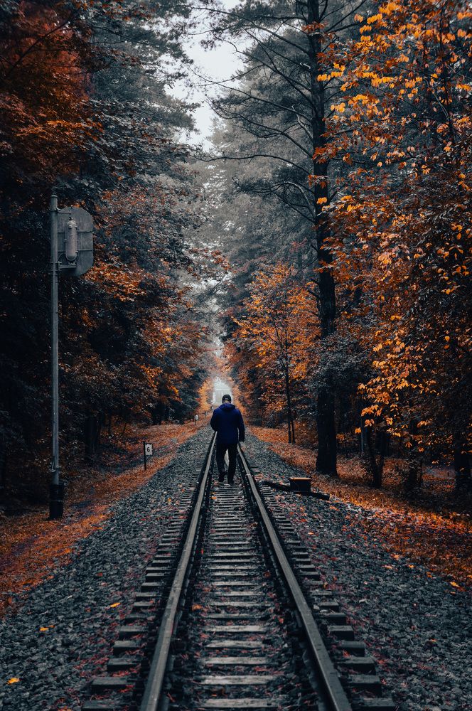 Фотография автора Геннадий Ломеко